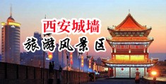 好国产快插逼中国陕西-西安城墙旅游风景区